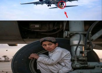 Afghan Teen Survives Daredevil Stowaway in Plane’s Wheel Well from Kabul to Delhi