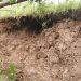 Woman Dies, Six Others Injured as Stones Hit Vehicle During Landslide Doda