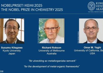 Susumu Kitagawa, Richard Robson and Omar Yaghi win 2025 Nobel Prize in Chemistry for metal organic frameworks