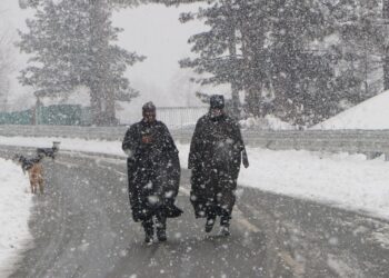 Rain, Snowfall Likely in Kashmir from December 20; Heavy Snow Expected in Upper Reaches: MeT
