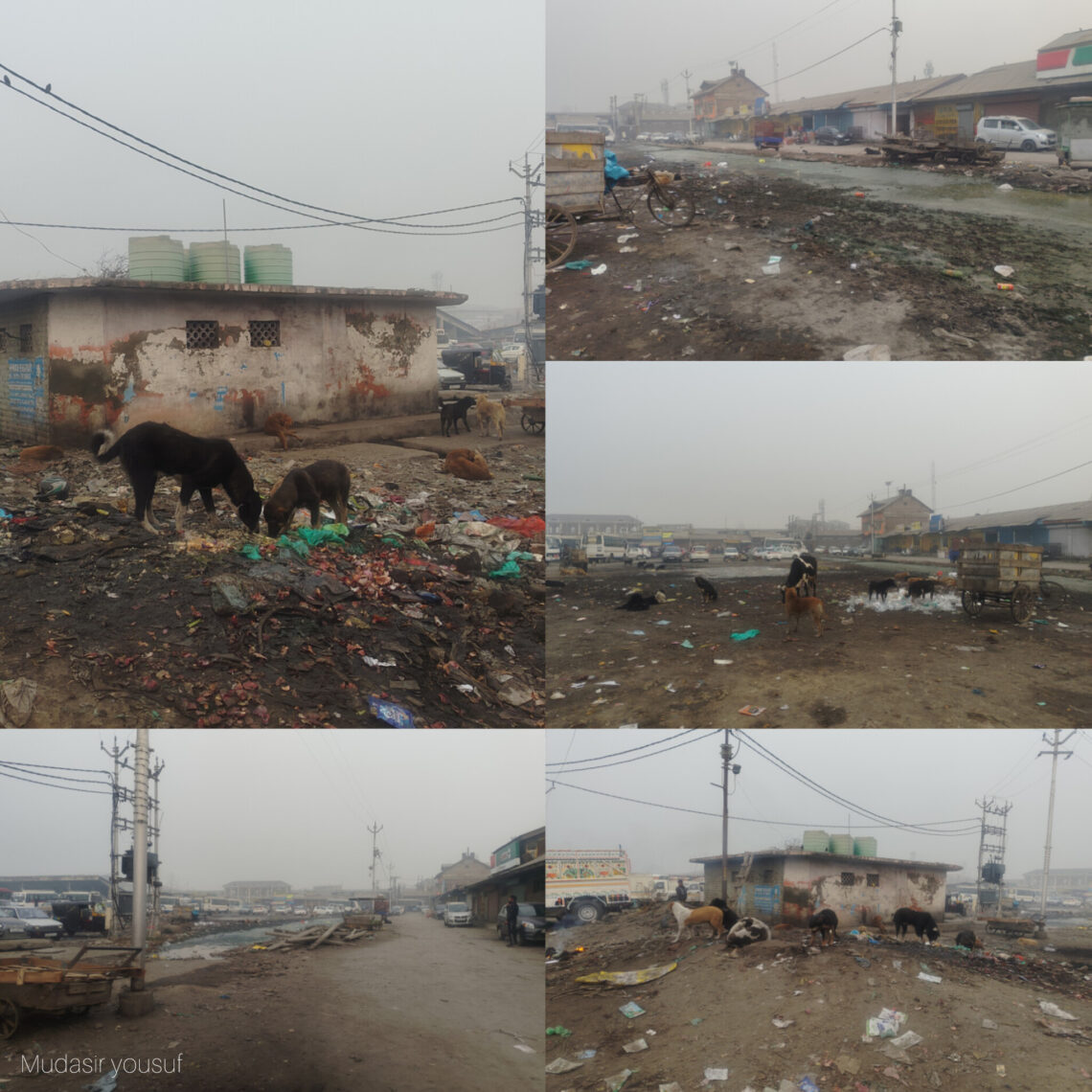 Is Batamaloo Out of Sight in Srinagar’s Smart City Vision? Traders Cry Neglect as Former Bus Stand Turns into Filth
