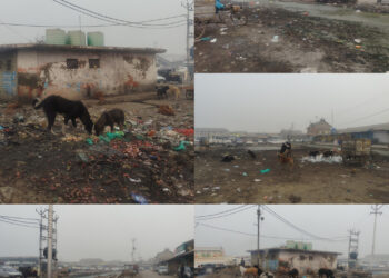 Is Batamaloo Out of Sight in Srinagar’s Smart City Vision? Traders Cry Neglect as Former Bus Stand Turns into Filth