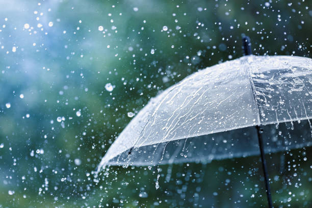 Weak Western Disturbance to Bring Light Rain/Snow on Feb 10; Another Expected Around Feb 17