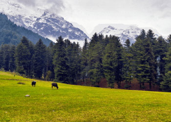 FIRST ANNIVERSARY OF PAHALGAM TERROR ATTACK: When bustling Baisaran fell silent
