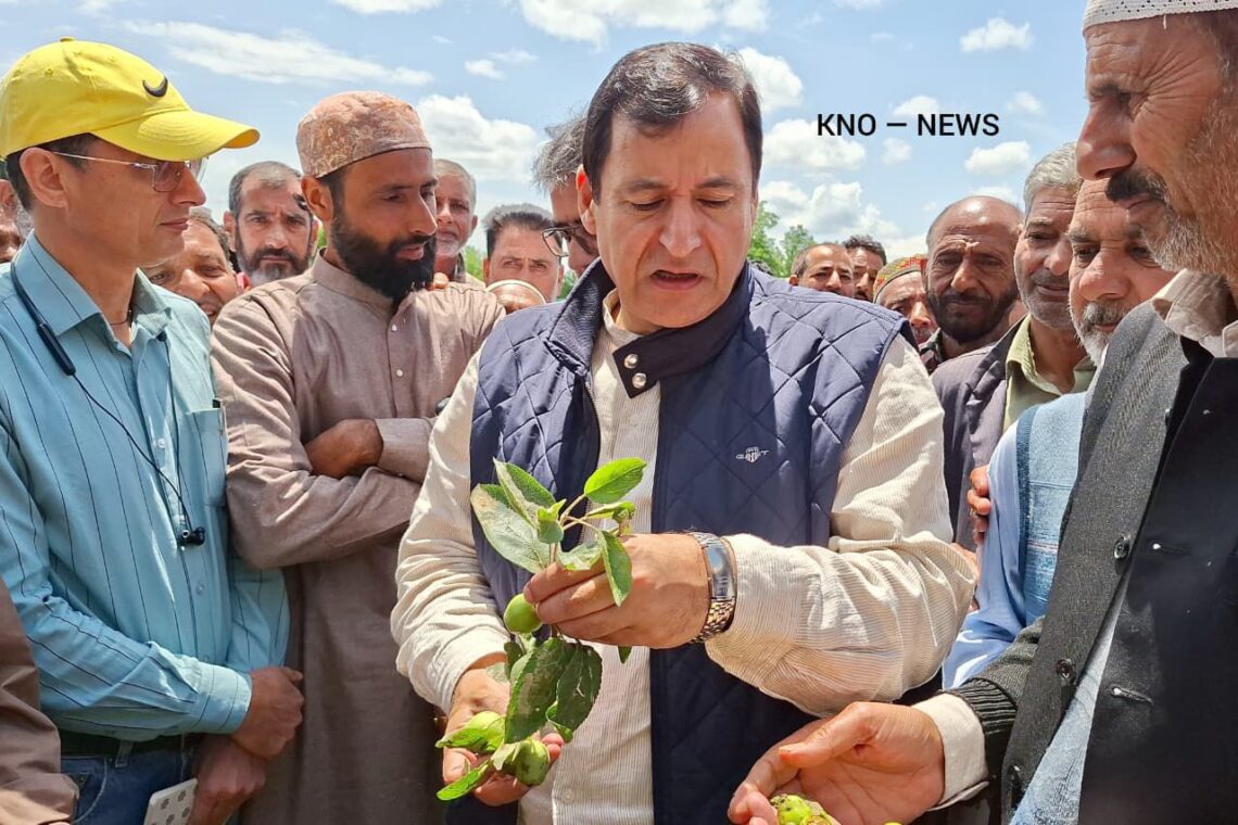 Hailstorm Aftermath: Crop insurance scheme likely within two months in J&K: Minister Javed Dar