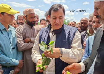 Hailstorm Aftermath: Crop insurance scheme likely within two months in J&K: Minister Javed Dar