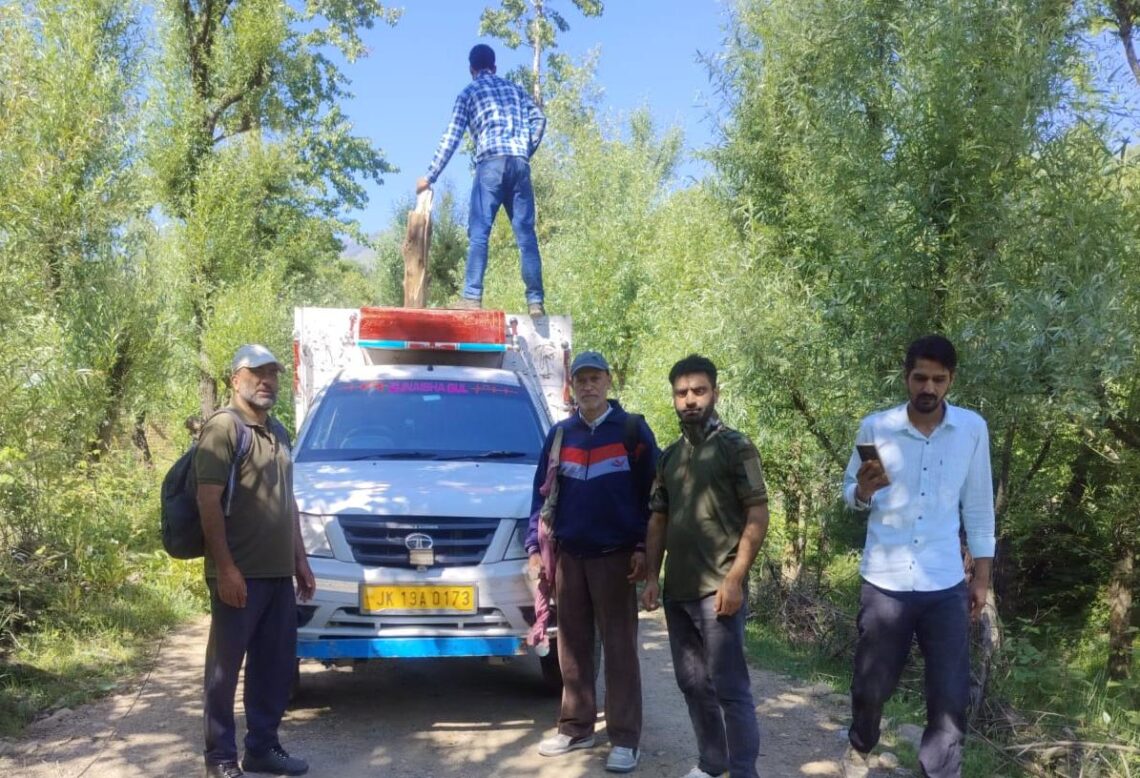 Black bears captured in Kulgam village, one released into wild