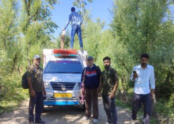 Black bears captured in Kulgam village, one released into wild